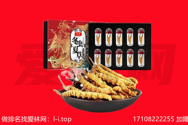 密云区回收虫草.jpg